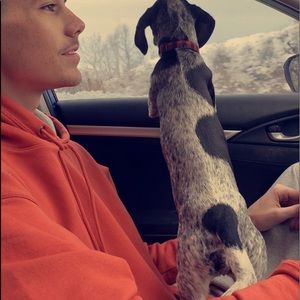 Meet your Posher, Tyler